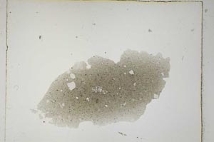 Plane Polarized, S5341