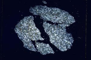 Cross Polarized, S5345