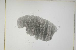 Plane Polarized, S5346