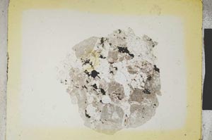 Plane Polarized, S5347