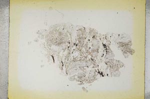 Plane Polarized, S5353