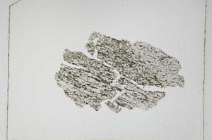 Plane Polarized, S5356