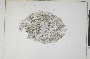 Plane Polarized, S5358