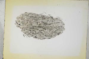 Plane Polarized, S5363
