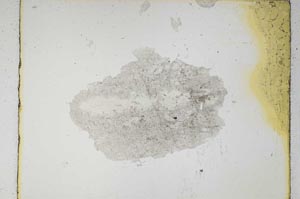 Plane Polarized, S5364