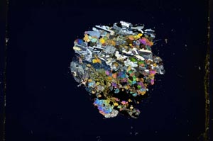 Cross Polarized, S5371