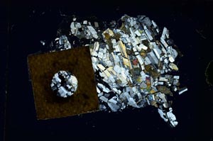 Cross Polarized, S5375