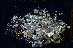 Cross Polarized, S5378