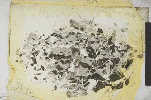 Plane Polarized, S5378