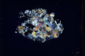 Cross Polarized, S5380