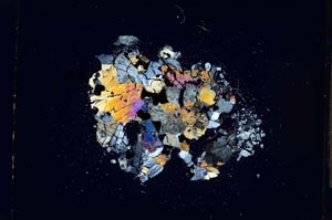 Cross Polarized, S5381