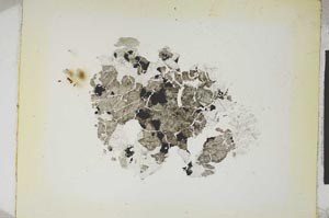 Plane Polarized, S5381