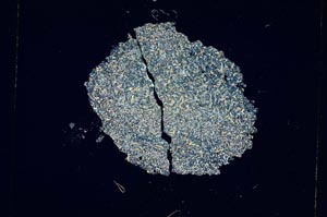 Cross Polarized, S5393