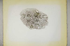 Plane Polarized, S5396