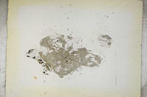 Plane Polarized, S5397/A