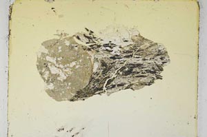 Plane Polarized, S5397/B