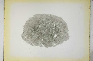Plane Polarized, S5415