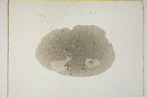 Plane Polarized, S5426