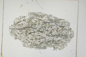 Plane Polarized, S5446