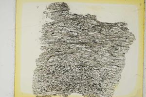 Plane Polarized, S5448