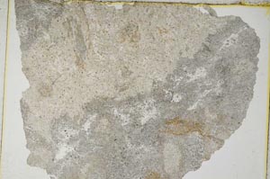 Plane Polarized, S5454