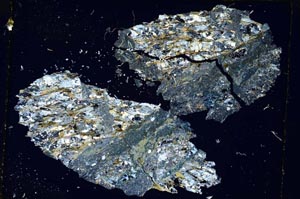 Cross Polarized, S5461