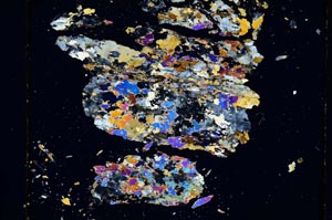 Cross Polarized, S5462