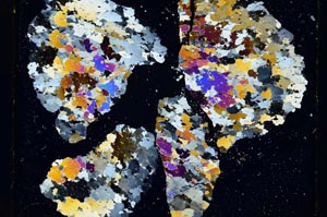 Cross Polarized, S5463