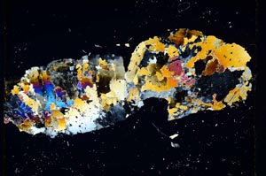 Cross Polarized, S5464