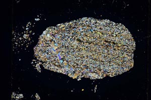 Cross Polarized, S5465