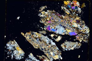 Cross Polarized, S5466