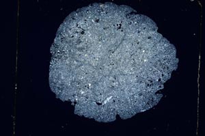 Cross Polarized, S5470