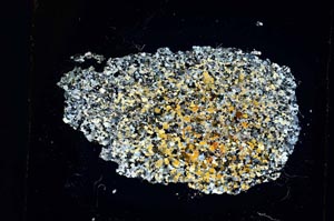 Cross Polarized, S5471