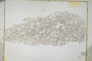 Plane Polarized, S5472