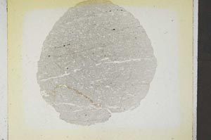 Plane Polarized, S5482
