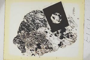 Plane Polarized, S5494