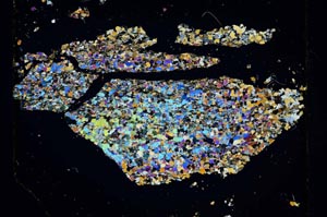 Cross Polarized, S5497