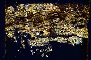 Cross Polarized, S5500