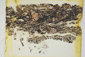 Plane Polarized, S5500