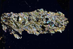 Cross Polarized, S5502