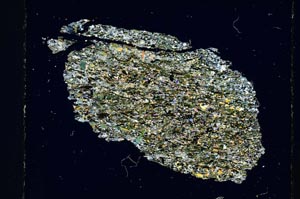 Cross Polarized, S5503