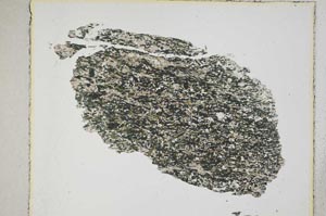 Plane Polarized, S5503