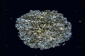 Cross Polarized, S5506