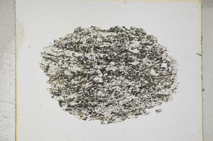 Plane Polarized, S5506