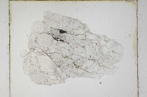 Plane Polarized, S5529