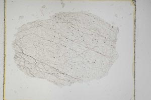 Plane Polarized, S5532