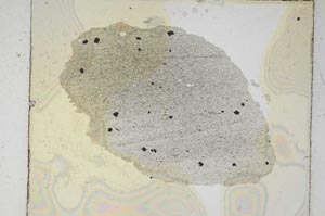 Plane Polarized, S5551