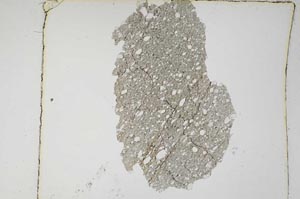 Plane Polarized, S5557