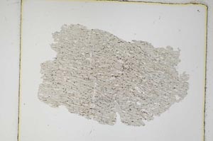 Plane Polarized, S5563