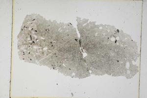 Plane Polarized, S5575